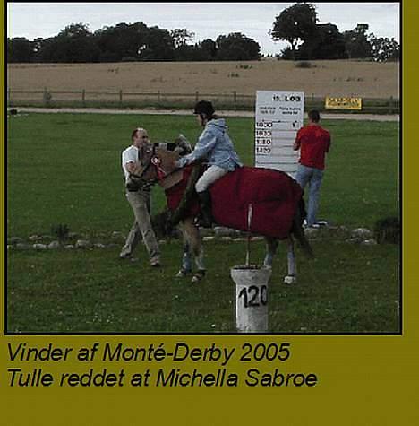 Fjordhest Tulle - Her har vi lige vundet derby 4/9-2005 billede 9