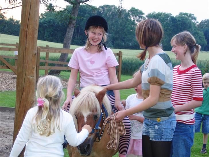 Shetlænder Sanne Bomlund  - Sanne er alle børnenes ven :-) billede 13