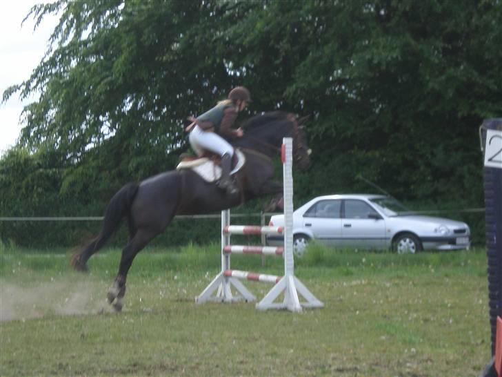 Anden særlig race Ebony *Solgt* - I helle:=) billede 9