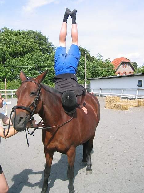 Traver label    R.I.P - det er til talent dag på den efterskole jeg gik på er det ikke bar godt billede 3