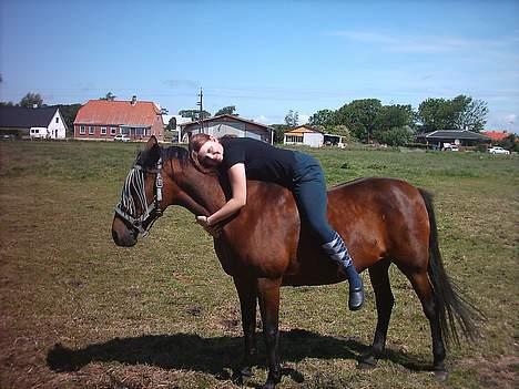 Traver label    R.I.P - JEG ELSKER DIG BELLEMUS billede 4