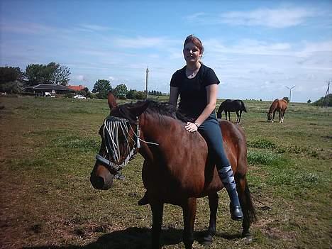 Traver label    R.I.P - det er mig der rider på marken billede 5