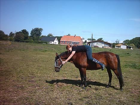 Traver label    R.I.P - hov hov ikke spise nu billede 6