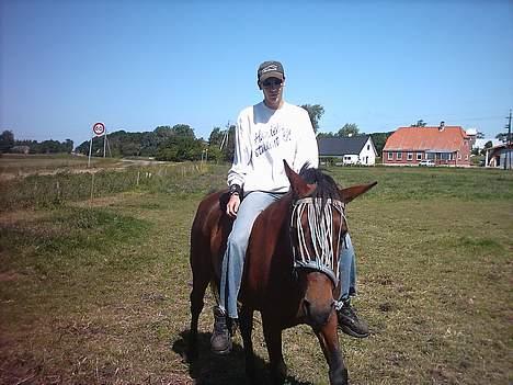 Traver label    R.I.P - det er min bedste ven igen... billede 8