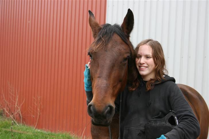 Anden særlig race Montana - solgt - elsk på den hest. Foto: AS, 9/10-2008 billede 10