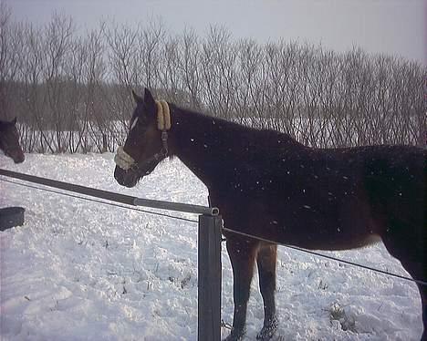 Traver Daylight  - Her skal hun snart ind <3 billede 3