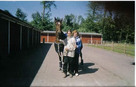 Traver Daylight  - Her står vi på travbanen, og skal til at gå ind i stalden.. :D billede 5