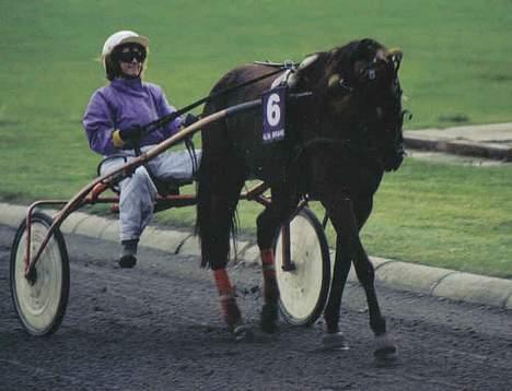 Traver Daylight  - Her har hun lige løbet .. =) billede 6