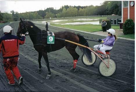 Traver Daylight  - Her skal hun lige trækkes. hehe billede 8