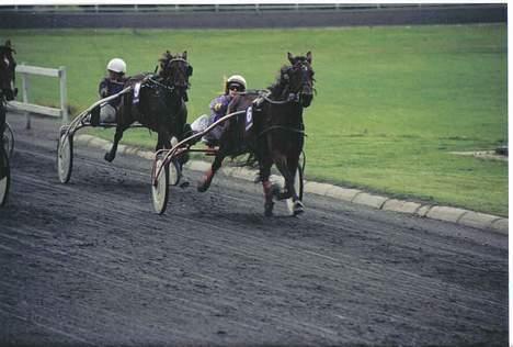 Traver Daylight  - Her er vi i opløbet.. hvem vinder?? Daylight <3<3 billede 9