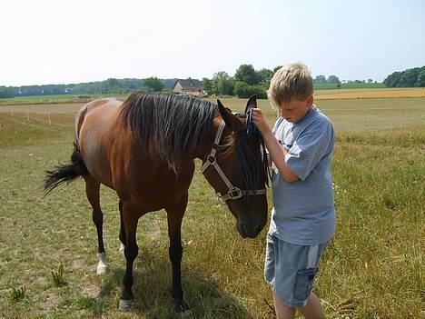 Traver Daylight  - DEJLIGE Daylight. <3 hun er bare skøn. <3 billede 12