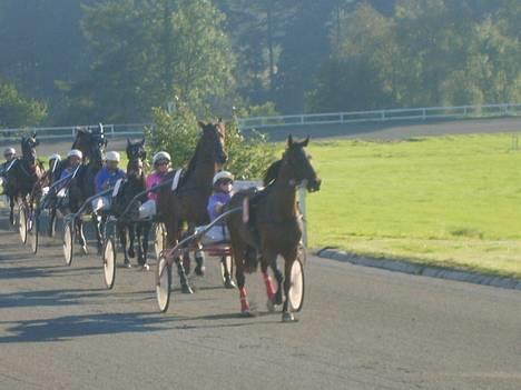 Traver Daylight  - NYT: Her er hun så igen, hun er ved at præsentere, til løb =) billede 16