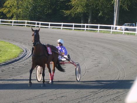 Traver Daylight  - NYT: her er hun igen, venter på hun skal ud og løbe løbet. =) billede 17