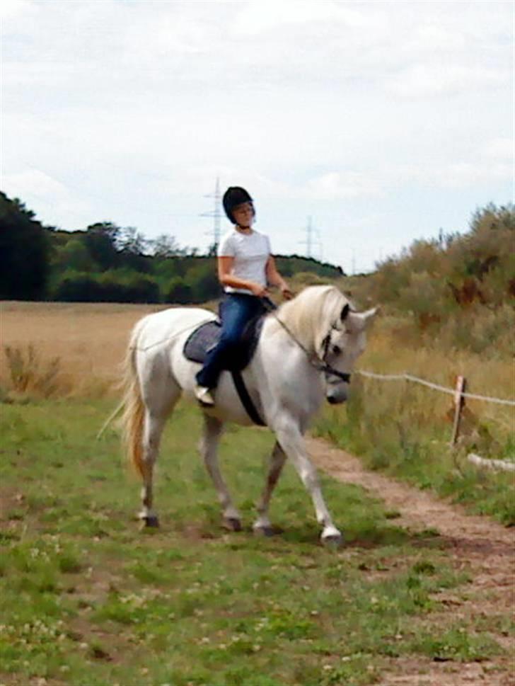 Anden særlig race Shamal *RIP* billede 2