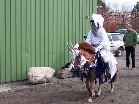 Dartmoor Samson *SOLGT* - Mig og Samson til kostume spring på Højmegård! billede 20