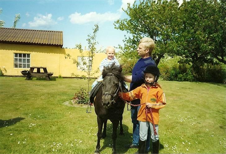 Anden særlig race Anne-lotte Himmelhest.  - mig som mindre, med min fætter på lotte, + far billede 2