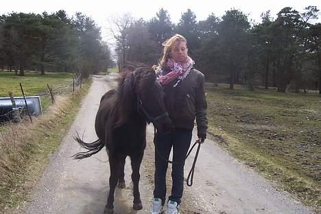 Anden særlig race Anne-lotte Himmelhest.  - mig, & lotte ! billede 10