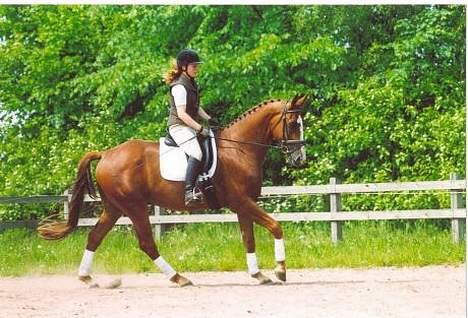 Oldenborg Jackson - Også lige en kort gallop. billede 4