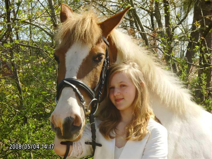 Anden særlig race Thiano - Konfirmations Billede med Thiano billede 9