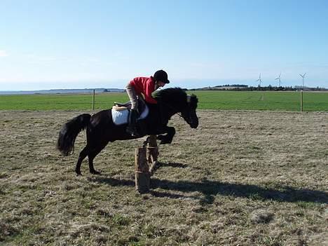 Anden særlig race Prins - - Wee , Vi Flyver - [Næsten :p] billede 12