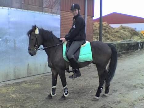 Anden særlig race Frederik - R.I.P. :'( billede 11