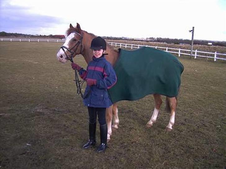 Anden særlig race Jack - De er nu altså lidt farlige de travheste :P billede 5