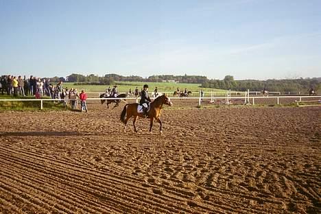 Anden særlig race Cici *død* :'( - cici og jeg til vores første stævne i asrk.  billede 2
