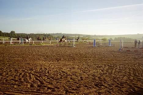 Anden særlig race Cici *død* :'( - det er ikke så tydeligt, men vi springer i hvert fald ;)  billede 3