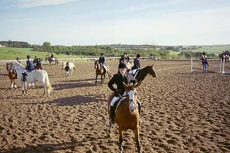 Anden særlig race Cici *død* :'( billede 4