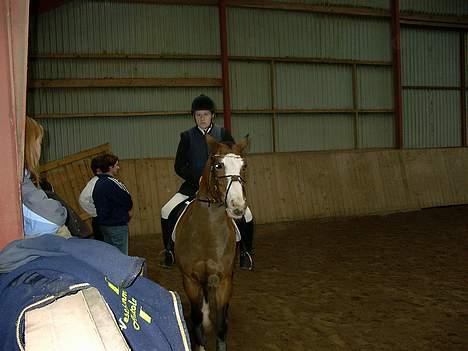 Anden særlig race Cici *død* :'( - stadig til stævne i hurk, vi er lige kommet ud fra banen og venter spændt på resultatet :D billede 8