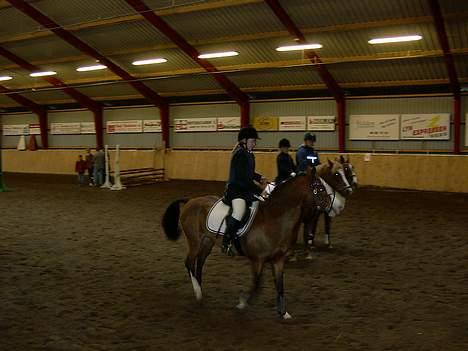 Anden særlig race Cici *død* :'( - VI VANDT !! weehu :D - cici kan ikke stå stille af glæde ;) billede 9