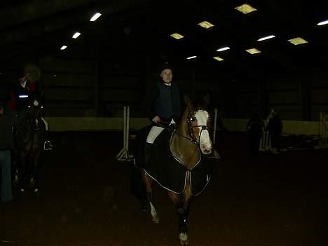 Anden særlig race Cici *død* :'( - cici og jeg på opvarmningen i fork. billede 10