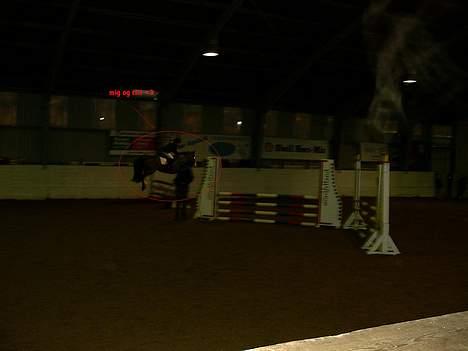 Anden særlig race Cici *død* :'( - billedet er lidt utydeligt, men vi er på banen i fork og springer vores første lb :) ! billede 11