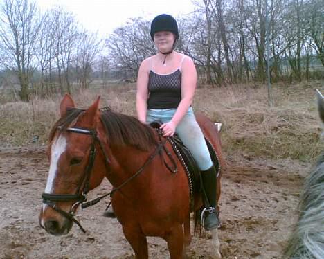 Traver Filur billede 15