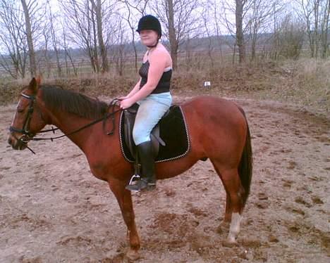 Traver Filur billede 16