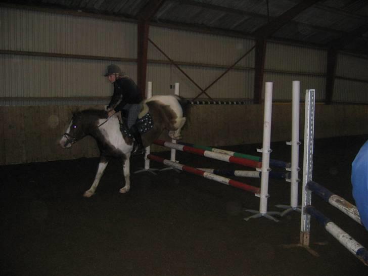 Pinto Don Ibrahim. - Kæmpe okse med Christine! xD TJEK BAGBENENE :O billede 13