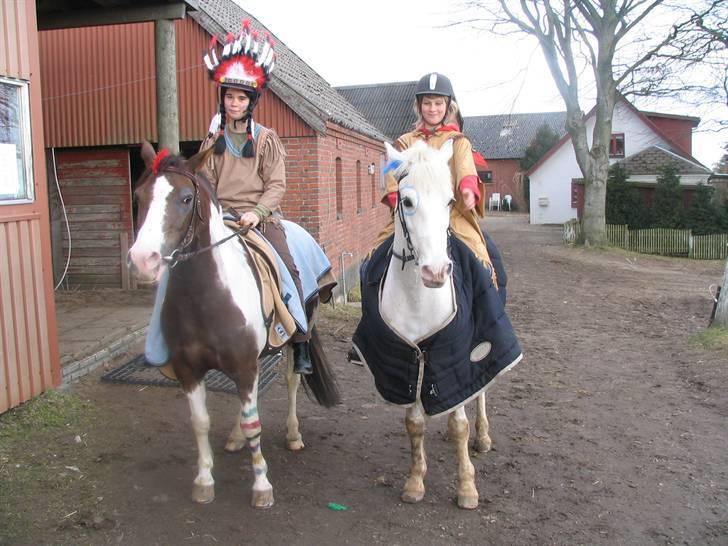 Pinto Don Ibrahim. - Fastelavn, pony game :D Vandt (; Ved siden af Pan<3. billede 14