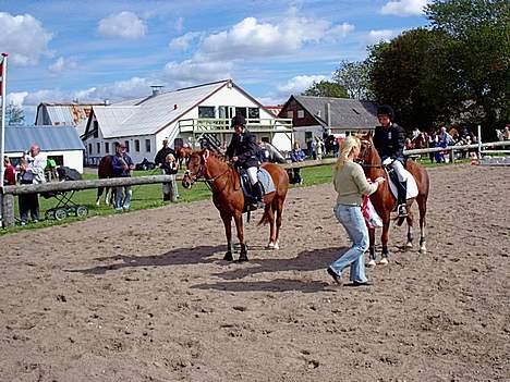 New Forest Fergie - sommeren 2004, Lii vundet en spring klasse, sikke Lille jeg var dengang :P billede 9