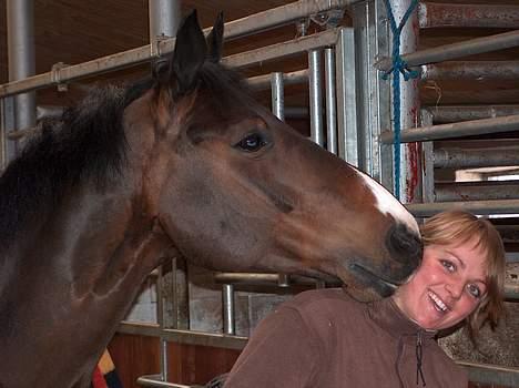 Anden særlig race Monark - A-hest i dressur - Vi har mange hemmeligheder Monark og jeg <3 Foto: KarenTT billede 2