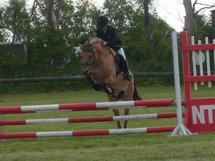 Anden særlig race Lucas - 16# :Josephine og Lucas i NTR :D  Foto : Marie Lyhne billede 16