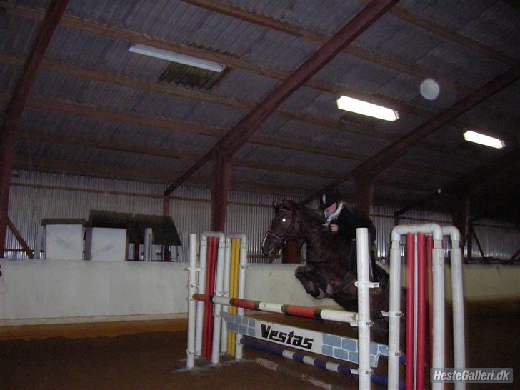Anden særlig race Santos ¤Rideskole hest¤ - Santos og jeg springer 105 cm til spring :D billede 8