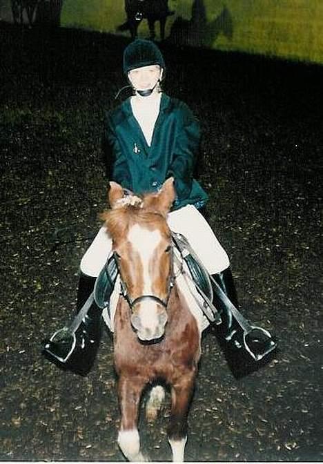 Pinto Museline - Et yndigt par til dressur stævne i Brande, læg lige mærke til pandehåret... billede 2