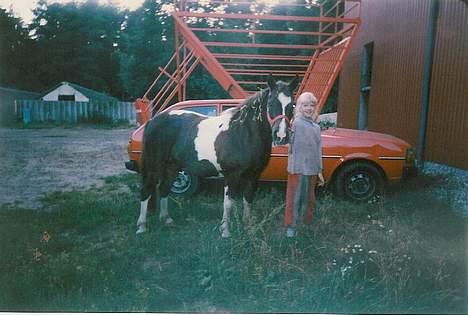 Pinto Museline - Flot fremvist af lillesøster, tror vist vi har flettet lidt halm i håret... billede 5