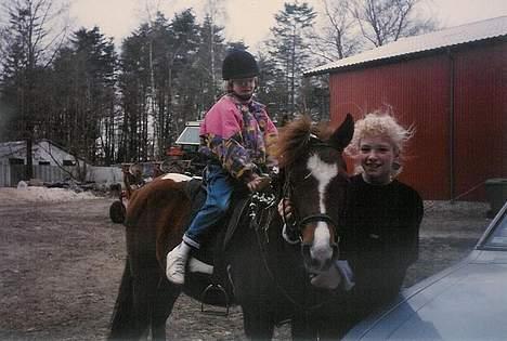 Pinto Museline - Med lillesøster på ryggen og vintergækker i håret.... billede 7