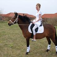 Anden særlig race Coco