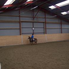 Anden særlig race dixie solgt