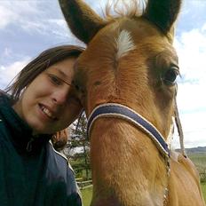 Traver toffee(solgt)