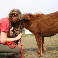 Anden særlig race Thea *Solgt*