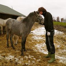 Connemara BREDEMADGÅRDS GRACE O'MALLEY