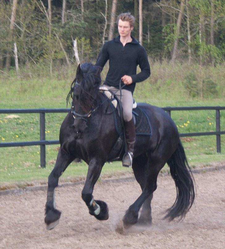 Frieser Freule van de Spiegelplas billede 8